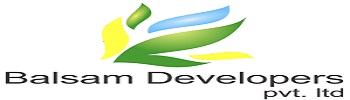 Balsam Developers