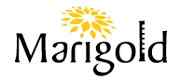 Marigold Realty