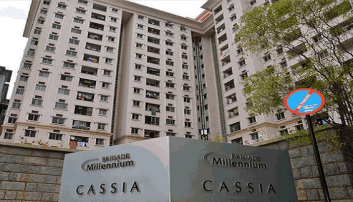 Brigade Millennium Cassia