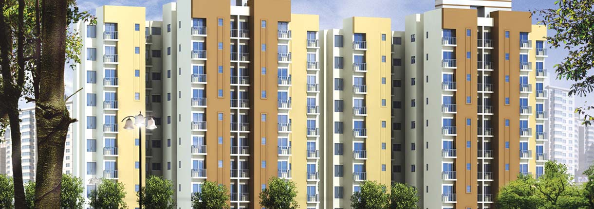 3 BHK - 1271 sqft