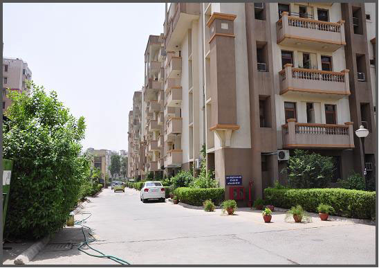 3 BHK - 1340 sqft