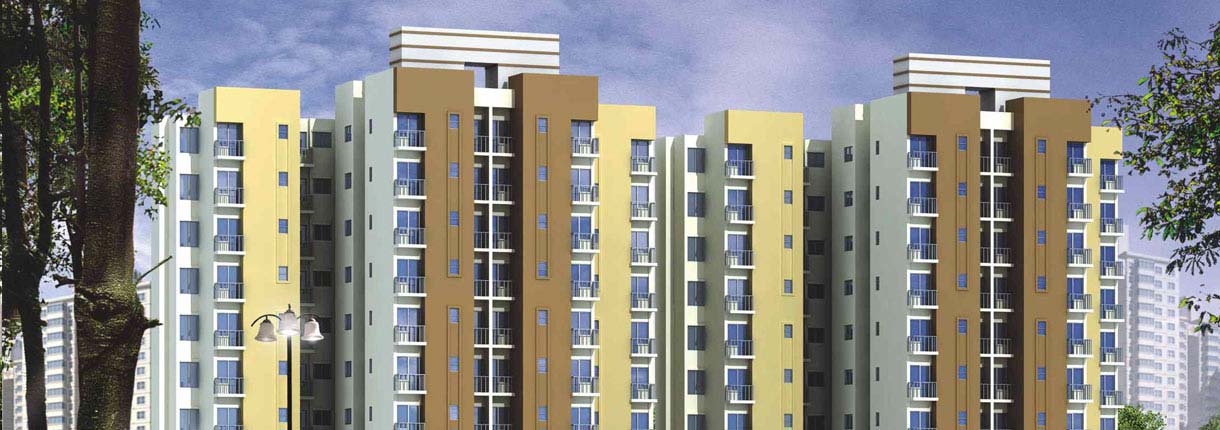 3 BHK - 990 sqft