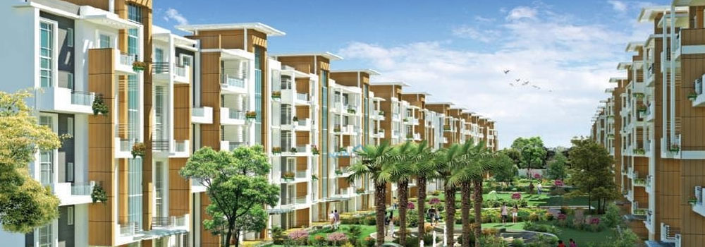 3  BHK - 1875 sqft