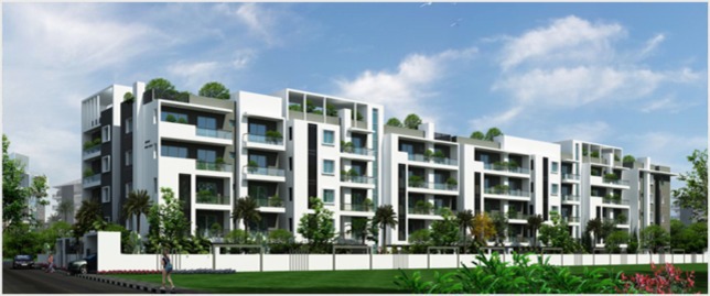 2  BHK - 1161 sqft