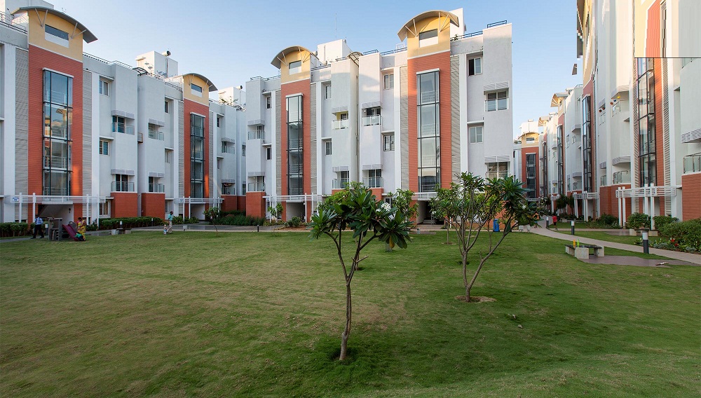 3  BHK - 2901 sqft