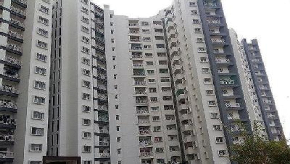 2  BHK - 790  sqft