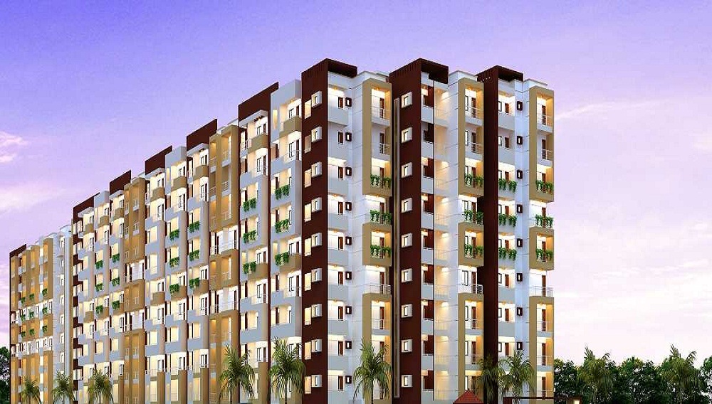 2  BHK - 1017 sqft