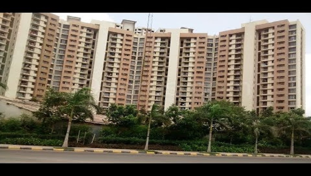 2  BHK - 770 sqft