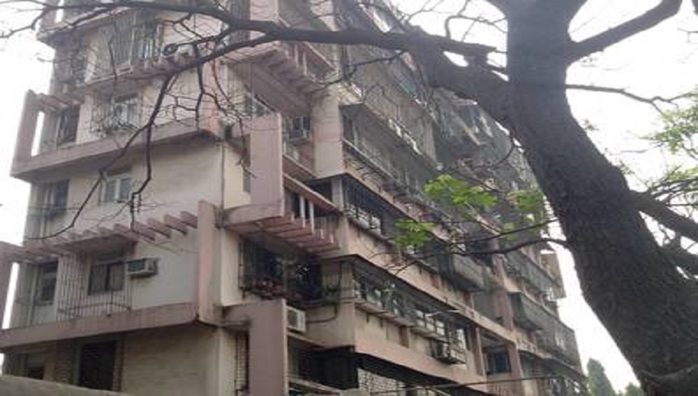 1  BHK - 545 sqft