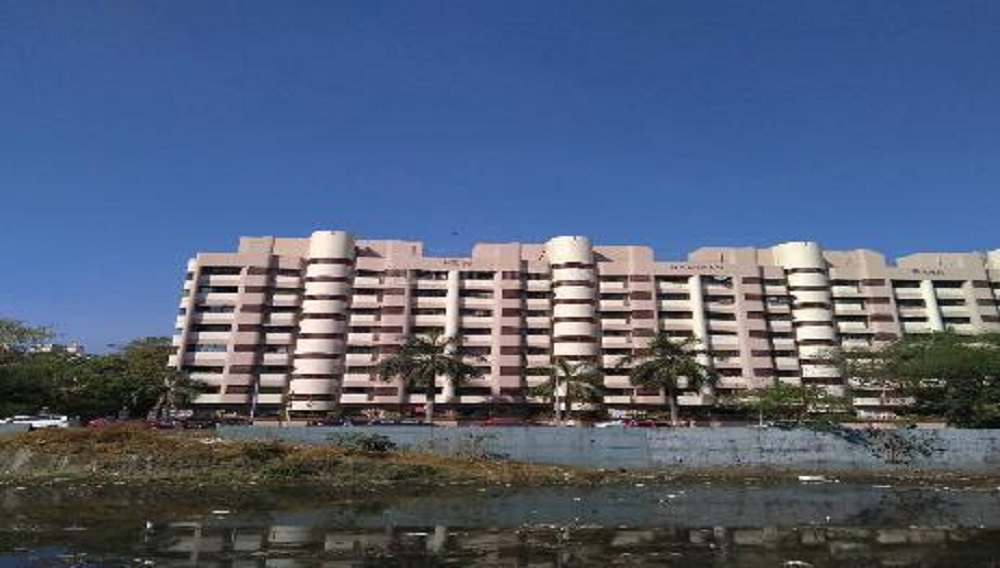 1  BHK - 580 sqft