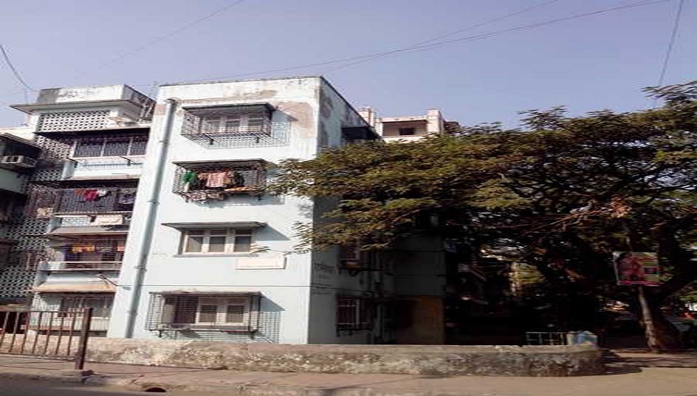 1  BHK - 307 sqft