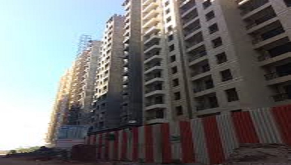 1  BHK - 371 sqft