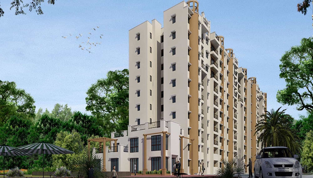 2  BHK - 905 sqft