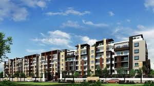 2  BHK - 995 sqft