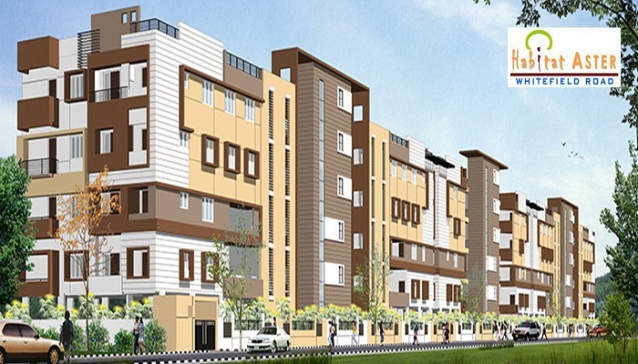 2  BHK - 1229 sqft