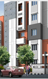 2  BHK - 993 sqft