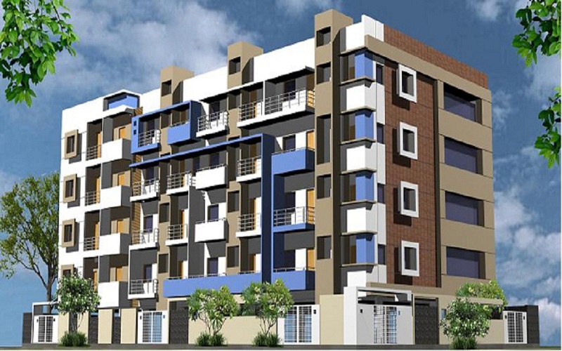 2  BHK - 810 sqft