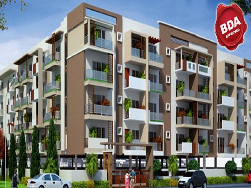 2  BHK - 994 sqft