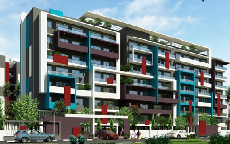 1  BHK - 799 sqft