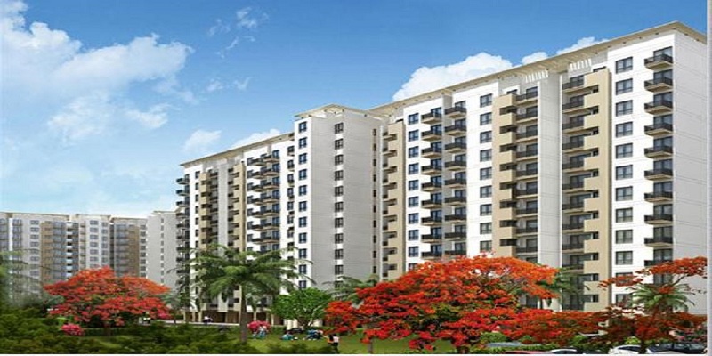 3  BHK - 1250 sqft