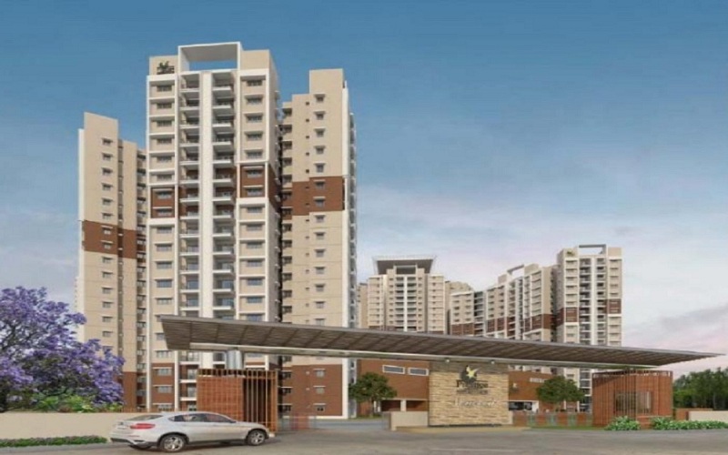 1  BHK - 785 sqft