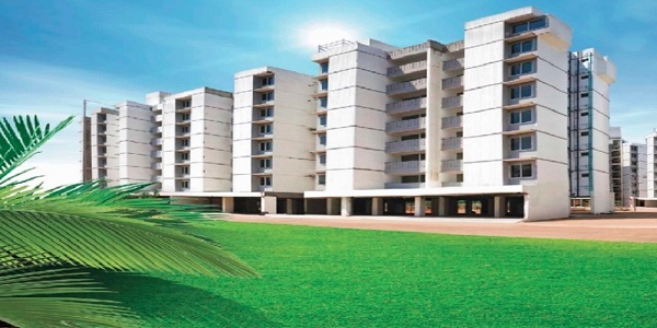 2  BHK - 732 sqft