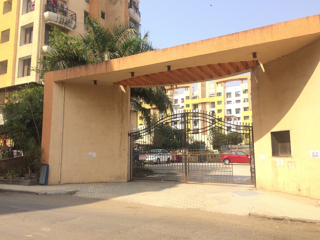 1  BHK - 705 sqft