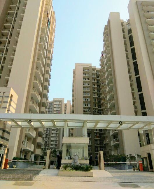 3  BHK - 1375 sqft