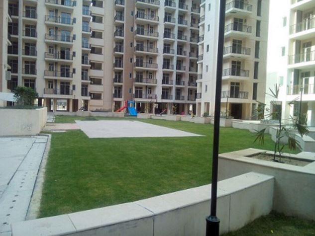 3  BHK - 1445 sqft