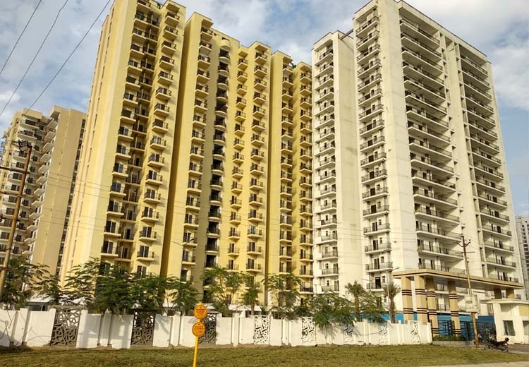 3  BHK - 2050 sqft