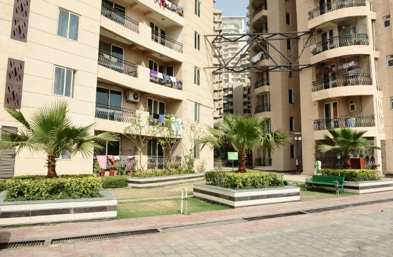 1  BHK - 585 sqft