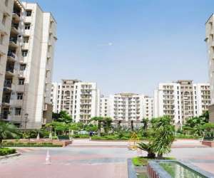 3 BHK  1440 Sqft Apartment for sale in  Aims Green Avenue in Sector 4 Greater Noida