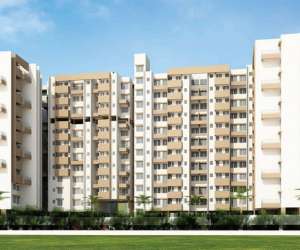 3 BHK  556 Sqft Apartment for sale in  Jhamtani Ace Aastha Building A in Chinchwad