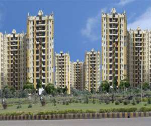 2 BHK  975 Sqft Apartment for sale in  Shaurya Alstonia in PI