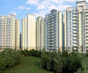 3 BHK  1755 Sqft Apartment for sale in  ACME Emerald Court in Sector 91