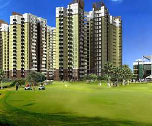 3 BHK  1170 Sqft Apartment for sale in  Amrapali La Residentia in Sector 4 Greater Noida